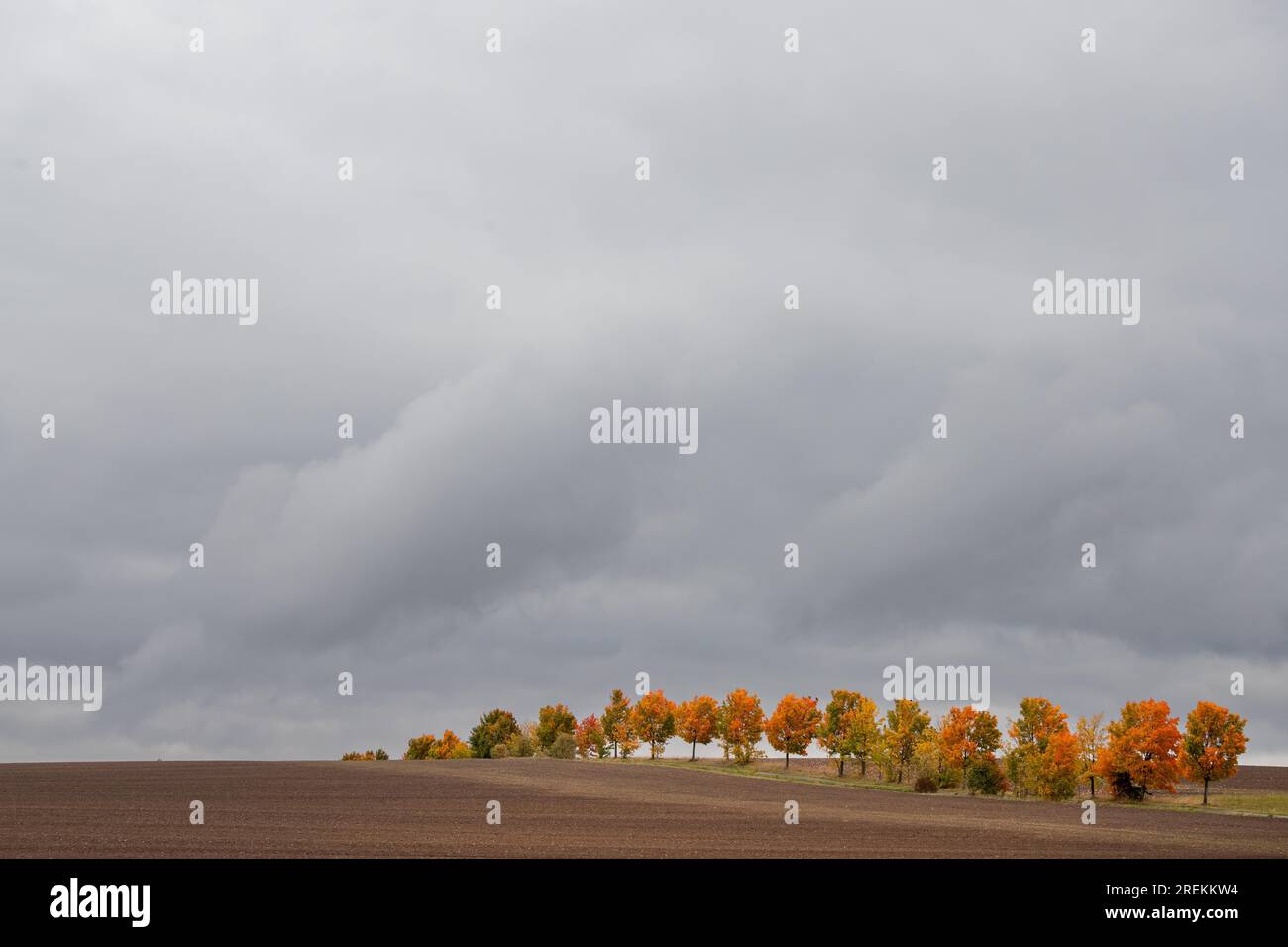 Bilder der Herbststimmung aus dem Harz-Gebirge Stockfoto