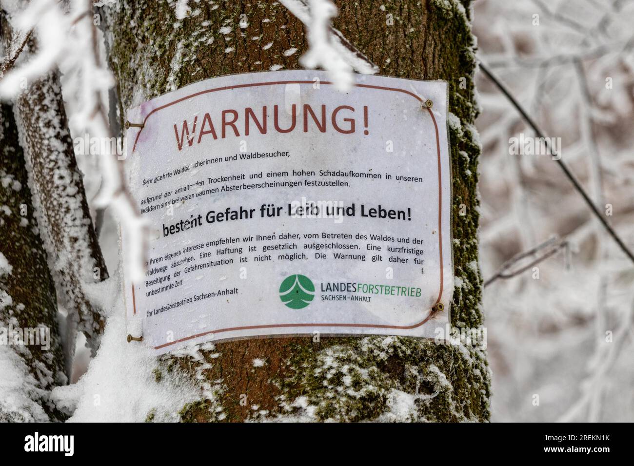 Wintereindrücke aus dem Harz-Gebirge Stockfoto