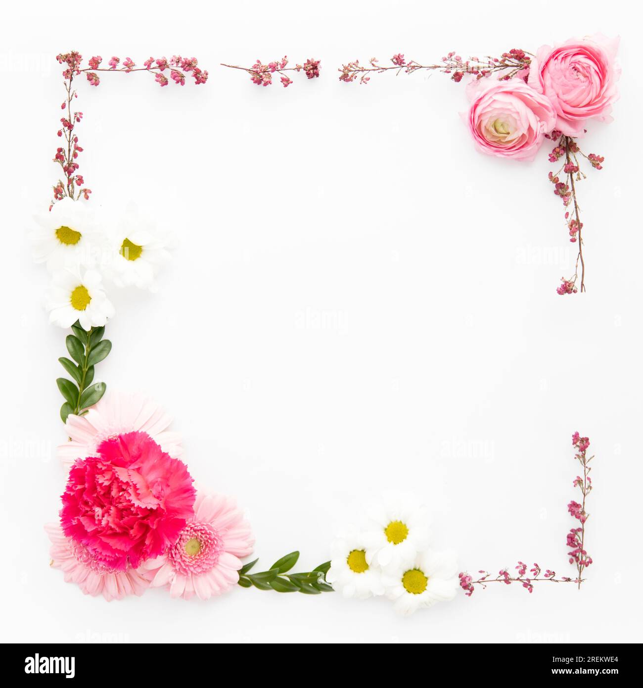 Rand aus verschiedenen Blumen. Schönes Foto Stockfoto