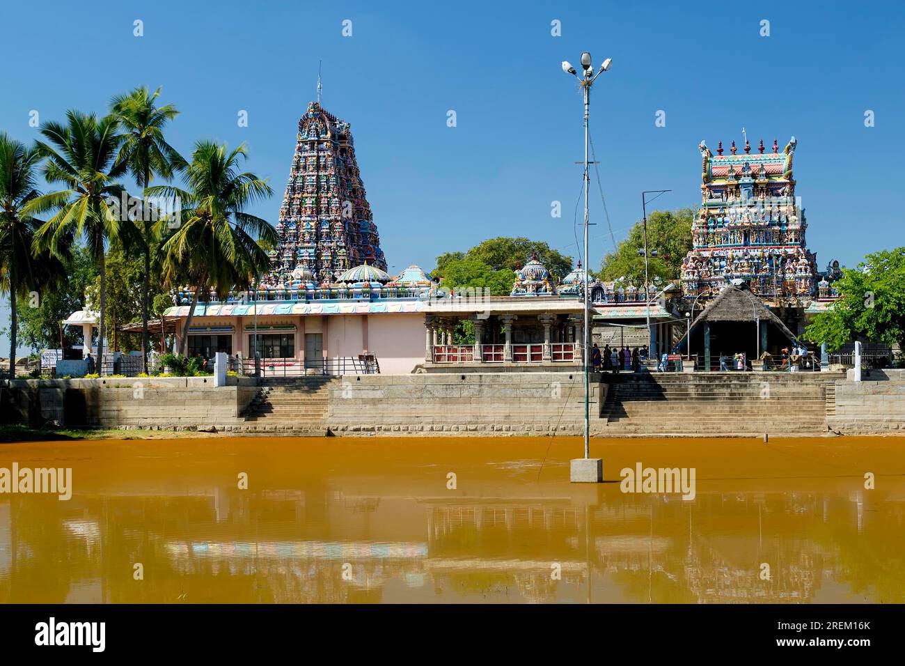 Sri Karpaga Vinayakar Tempel mit heiligen Panzeroorani in Pillaiyarpatti bei Karaikudi, Tamil Nadu, Südindien, Indien, Asien Stockfoto