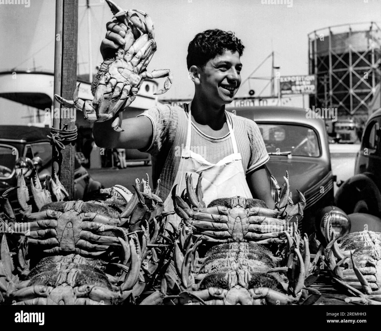 San Francisco, Kalifornien: 16. April 1945 Ein glücklicher Arbeiter an der Fisherman's Wharf hält einen aus einem großen Haufen frisch gefangener Dungeness-Krabben. Stockfoto