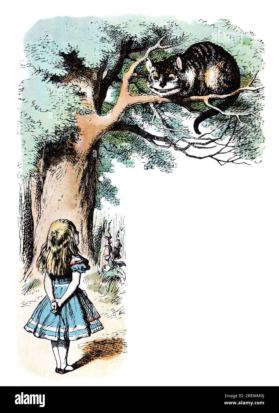 Alice und Cheshire Cat in Tree Alice im Wunderland farbige Illustration aus Tenniel Stockfoto