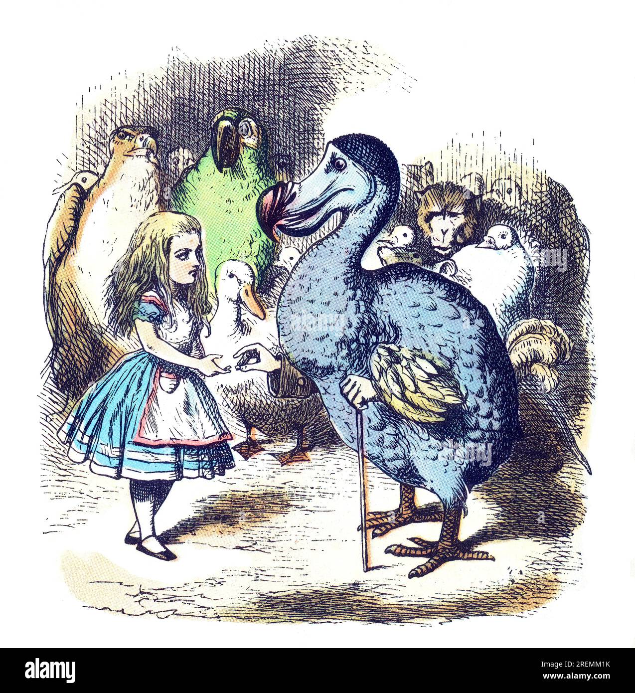 Alice und Dodo Alice im Wunderland, farbige Illustration aus Tenniel Stockfoto