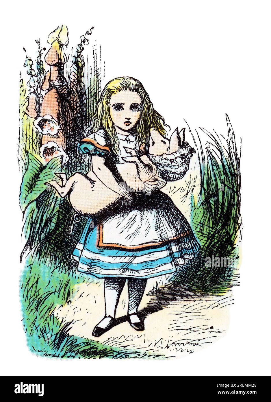 Alice hält Schweinebaby Alice im Wunderland, farbige Tenniel-Illustration Stockfoto