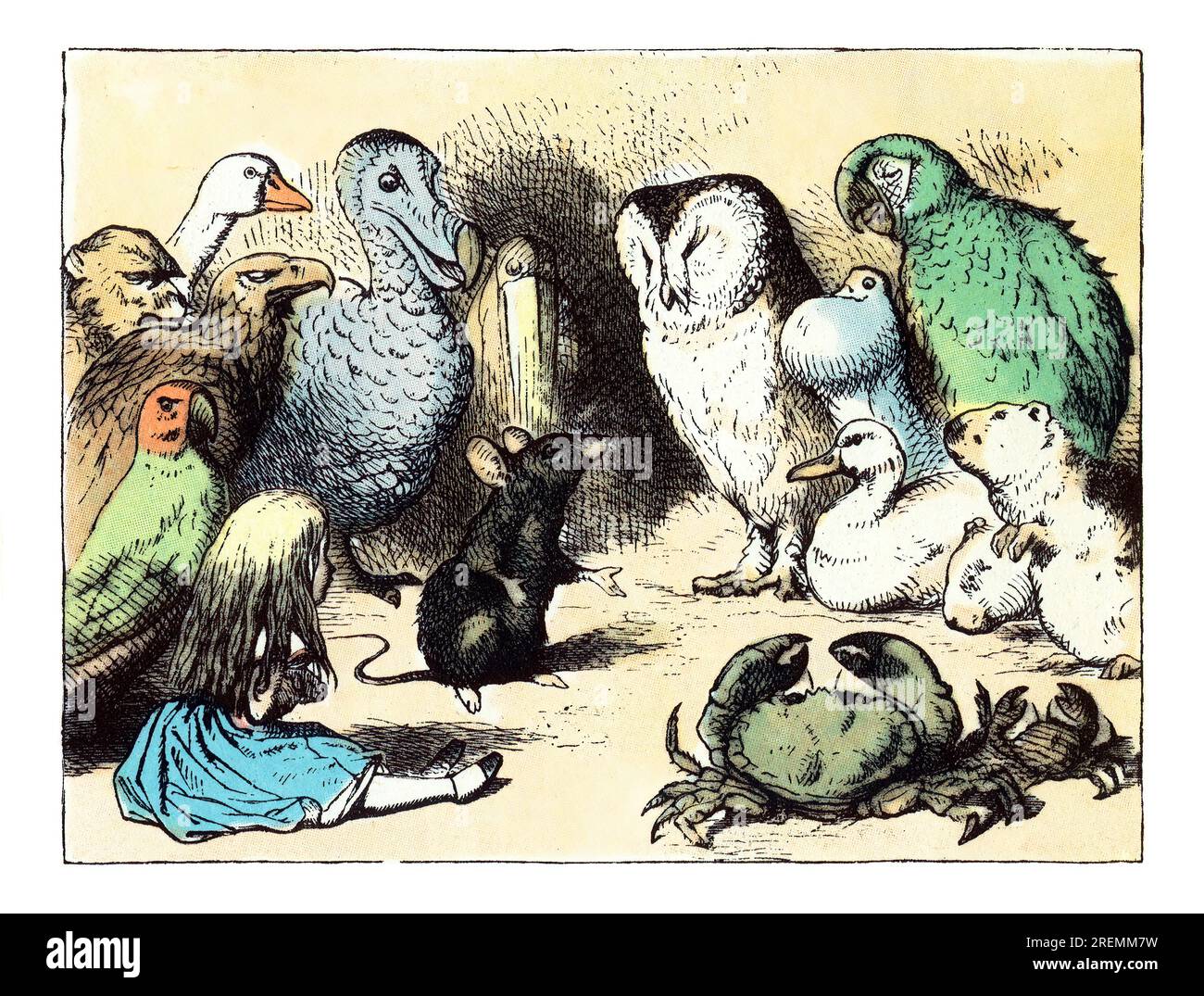 Maus spricht mit Tieren Alice im Wunderland farbige Tenniel Illustration Stockfoto