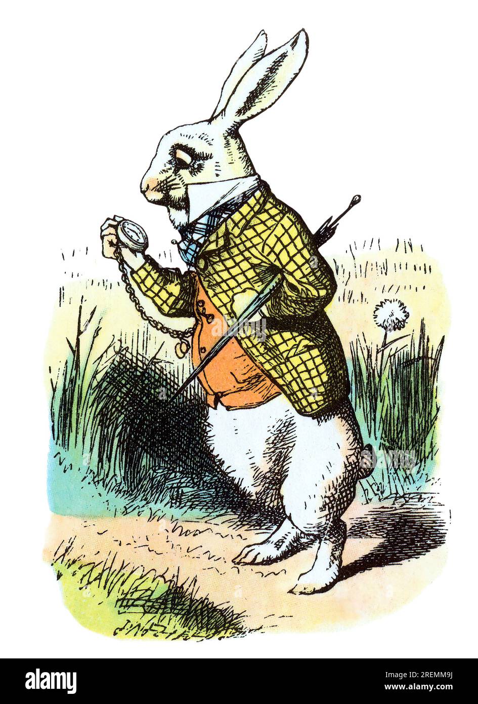 Weiße Kaninchen, verstorbene Alice im Wunderland, farbige Illustration in Tenniel Stockfoto