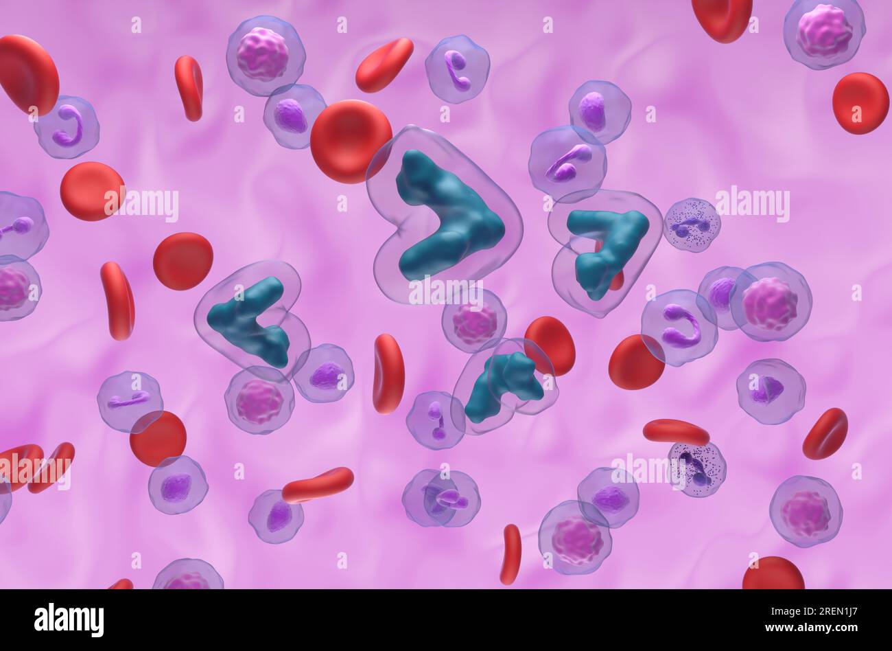 Methotrexat-Säure im Blutfluss - isometrische Darstellung 3D Stockfoto