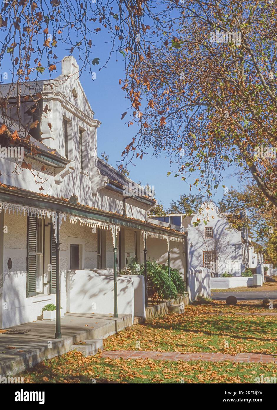 Kapholländische Häuser in der Dorp Street, einer malerischen, mit Eichen gesäumten Straße in Stellenbosch, Westkap, Südafrika. Stockfoto