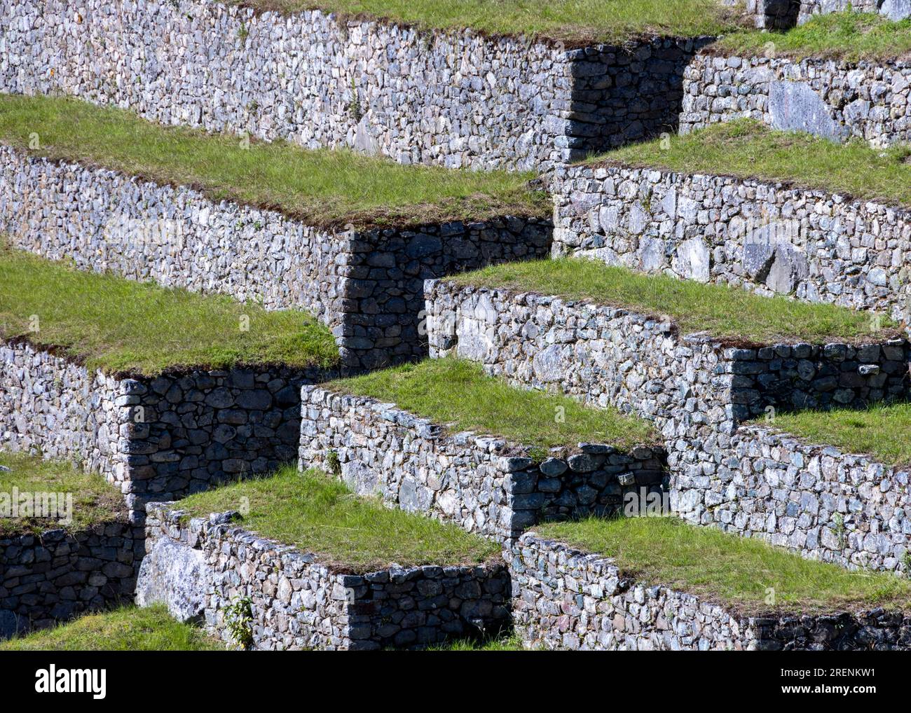 Landwirtschaftliche Terrassen, Inka-Ruinen von Machu Picchu, Peru, Südamerika Stockfoto