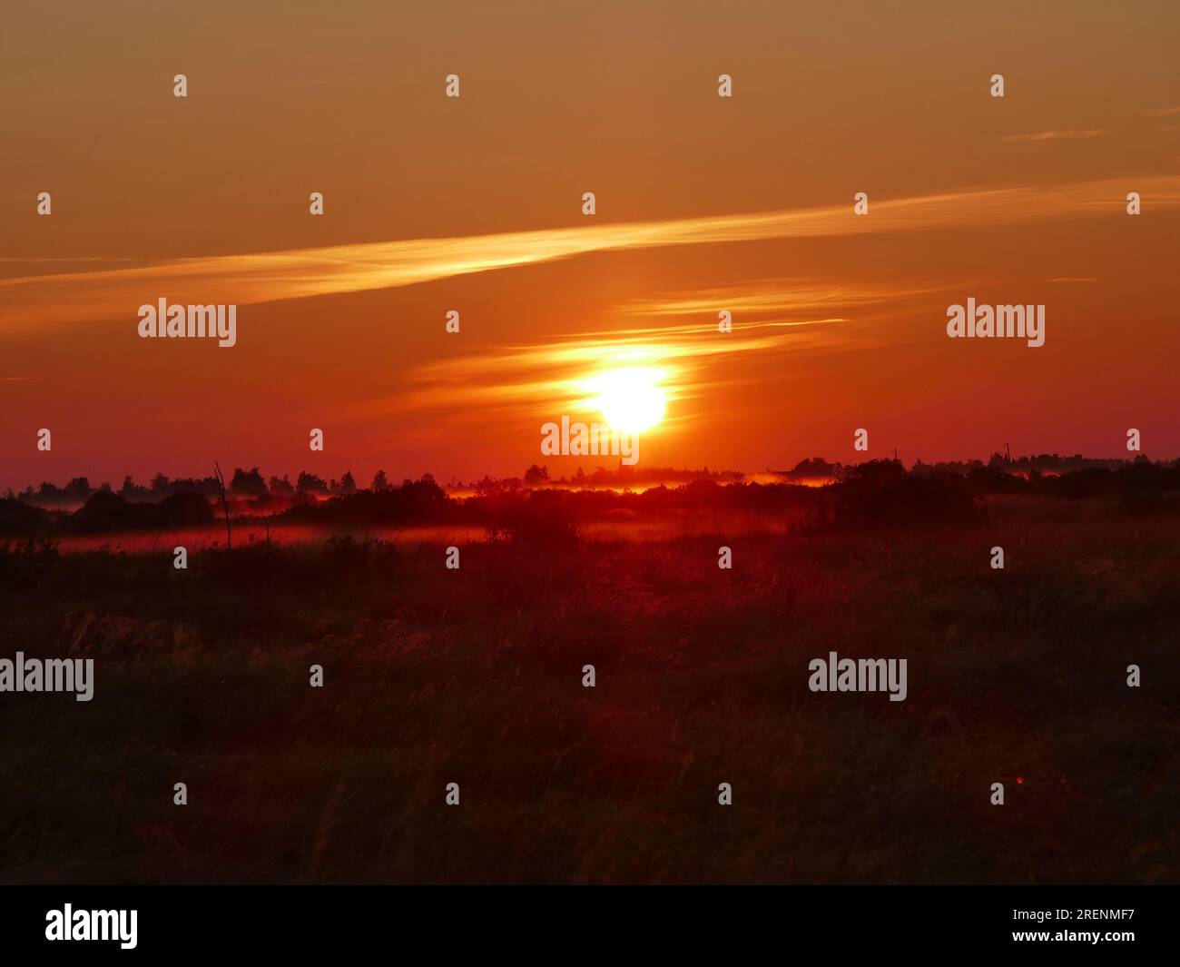 Roher nebiger Morgen. Sommersonnenaufgang über Wiesen (feuchte oder nasse Wiesen) und Tieflandmoor mit schattigem Weidenbusch. Die Sonne scheint durch streifenartige Wolken. Stockfoto