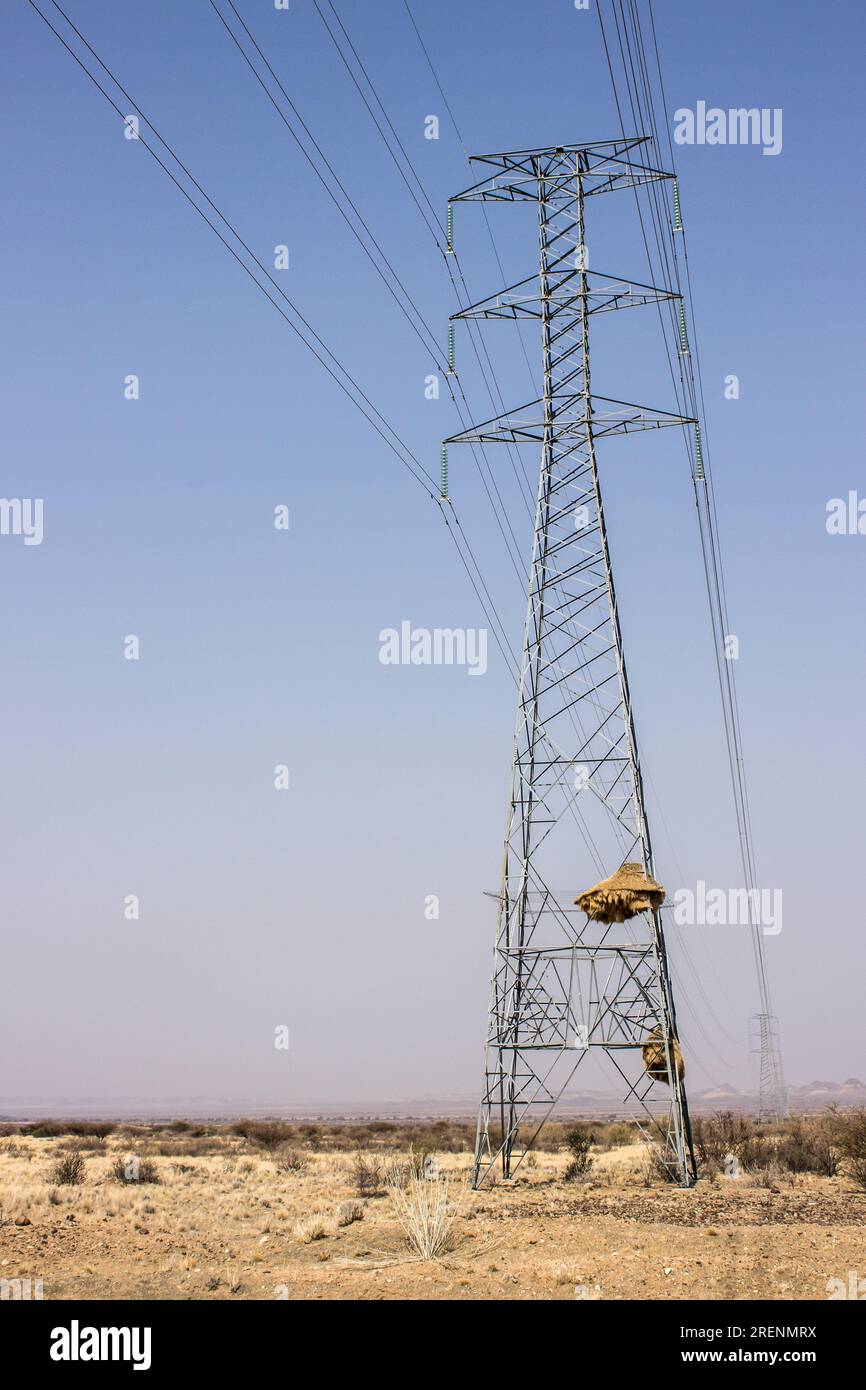 Strommasten, die Hochspannungsleitungen durch die karge Kalahari-Wüste von Namibia transportieren, mit zwei sozialen Webernestern im Stahlwerk Stockfoto