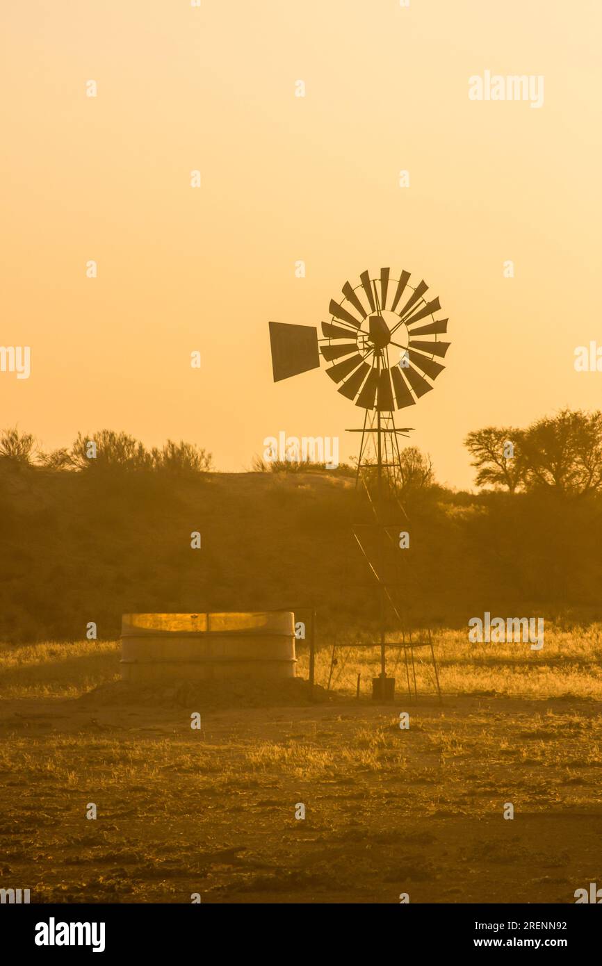 Sonnenaufgang an einer Windpumpe und künstlichem Wasserloch im Kgalagadi-Nationalpark Stockfoto