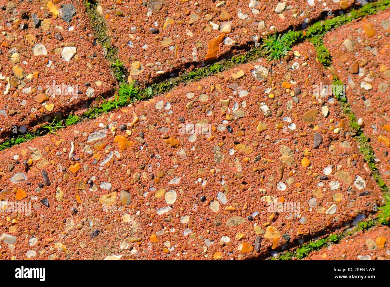 Ein naher horizontaler Hintergrund aus roten Ziegeln von einem Fußgängerweg mit einem moosgrünen Wachstum dazwischen. Stockfoto