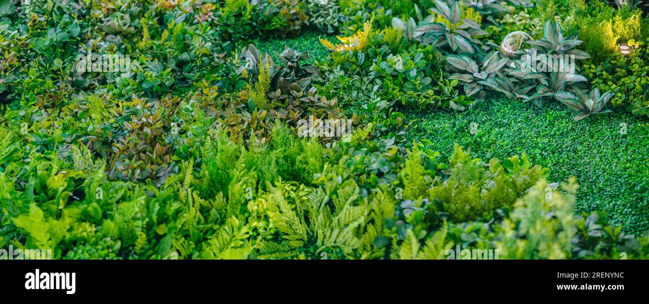 Grünes Laub künstliches Naturpflanzen-Blatt aus Kunststoff für Innendekoration breites Panorama für Hintergrund Stockfoto