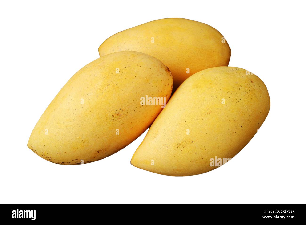 Drei frische, reife ganze Früchte von Mango, isoliert auf weißem Hintergrund Stockfoto