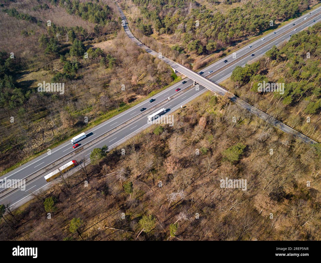 Kranke Bäume und Waldausbrüche aufgrund des hohen CO2-Fußabdrucks durch Verkehr auf verkehrsreichen Straßen durch Umwelt aus Drohnenperspektive Stockfoto