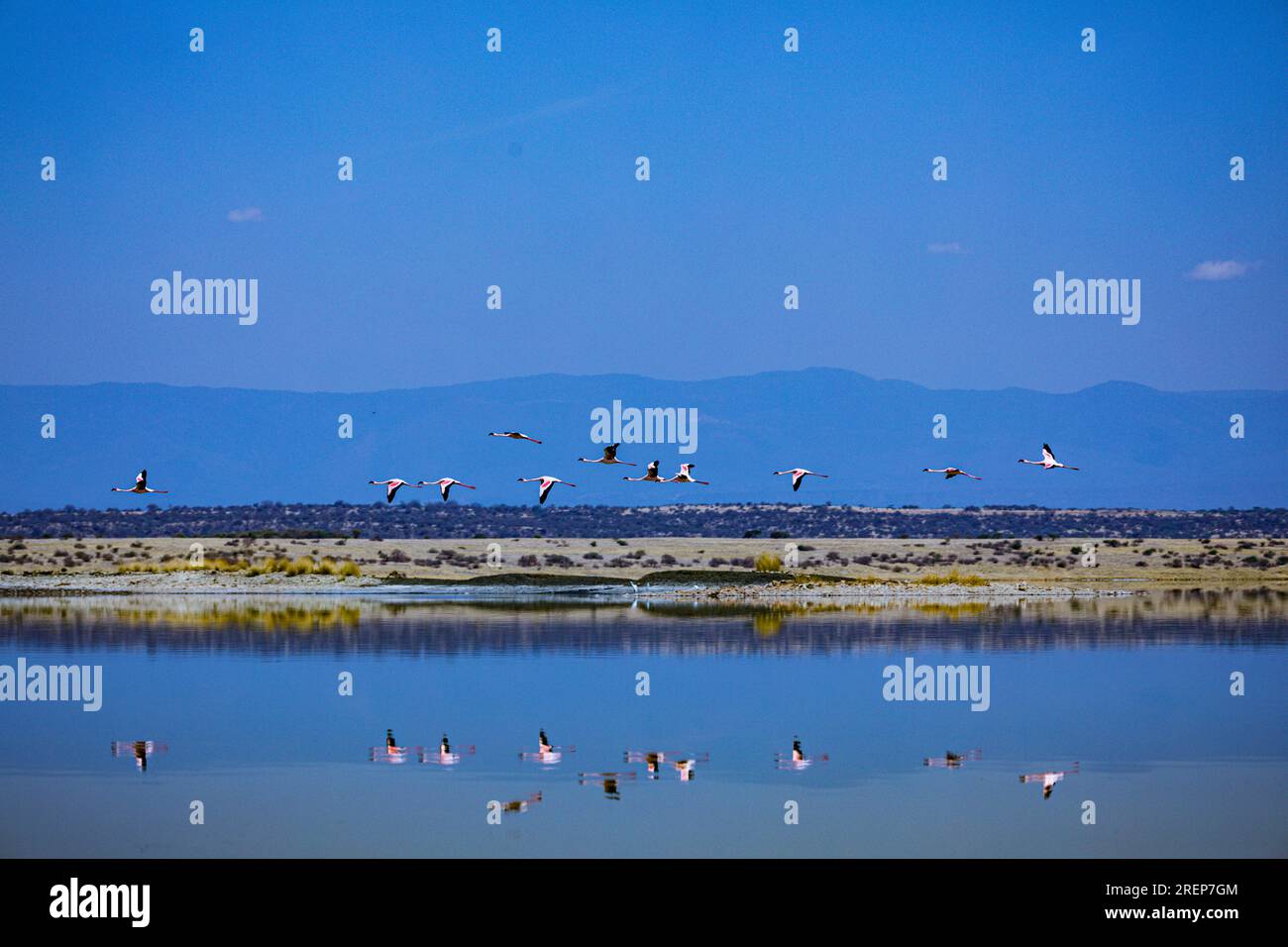 Der Lago Magadi ist der südlichste See im Kenia Rift Valley und liegt in einem Einzugsgebiet von vulkanischen Gesteinen nördlich von Tan Stockfoto