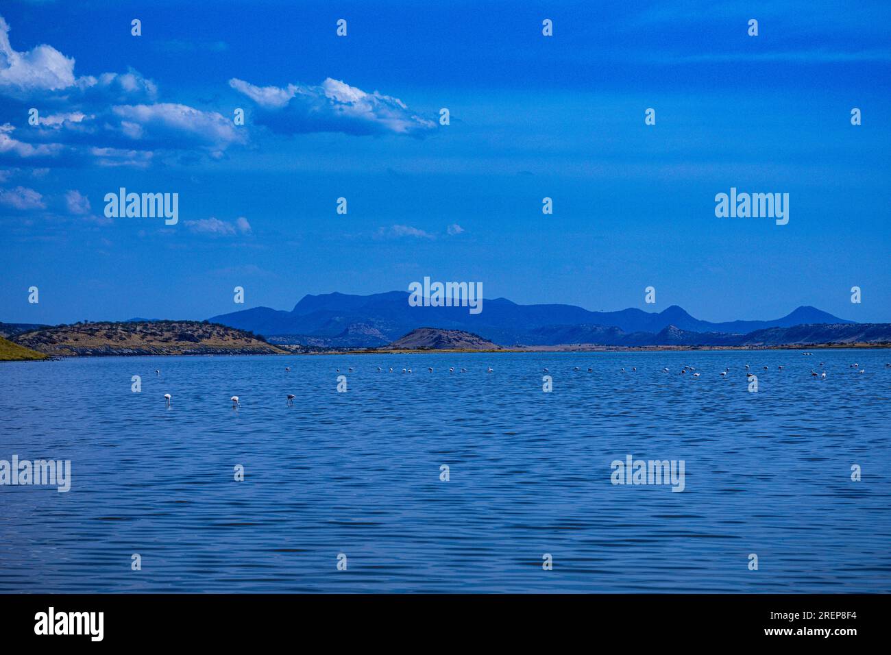 Der Lago Magadi ist der südlichste See im Kenia Rift Valley und liegt in einem Einzugsgebiet von vulkanischen Gesteinen nördlich von Tan Stockfoto