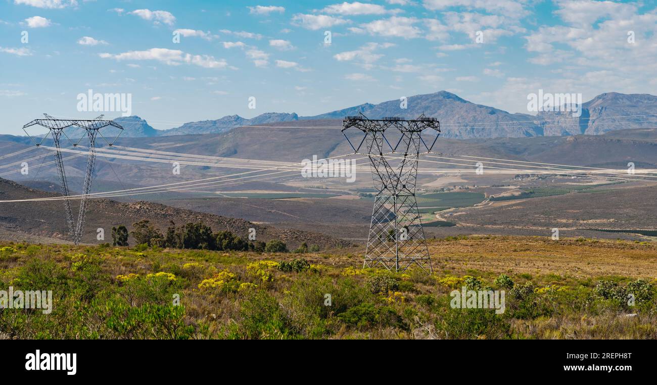 Stromleitungen, die durch offenes Gestrüpp mit Lichtreflexionen auf den Stromleitungen führen Stockfoto