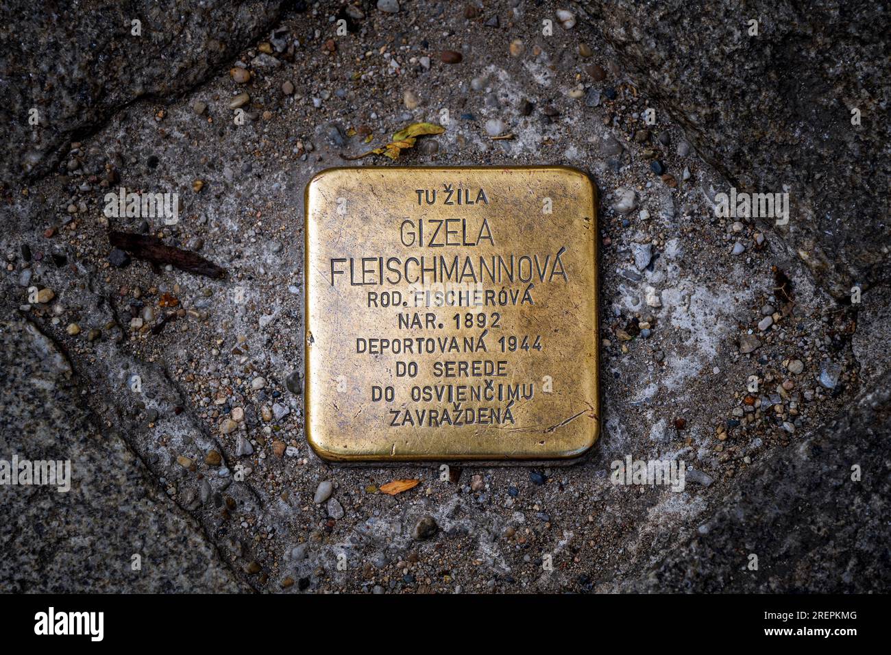 Polierter Stolperstein aus Messing, eingraviert mit dem Namen des einheimischen jüdischen Bewohners Bratislava, Slowakei Stockfoto