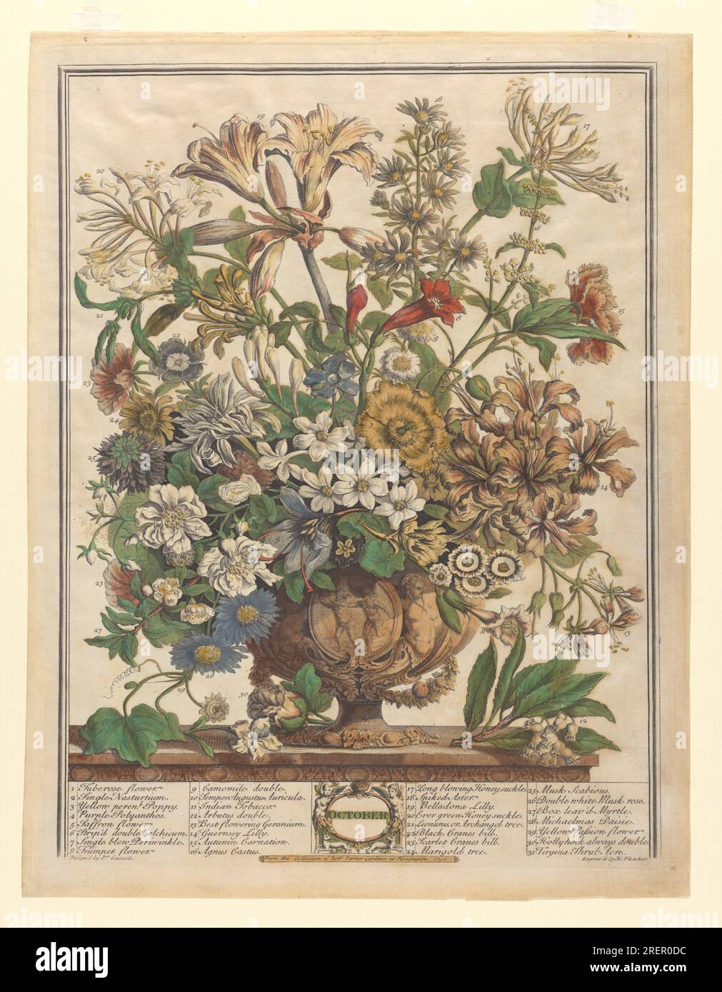 Die zwölf Monate der Blumen: Oktober 1730 von Pieter Casteels III Stockfoto