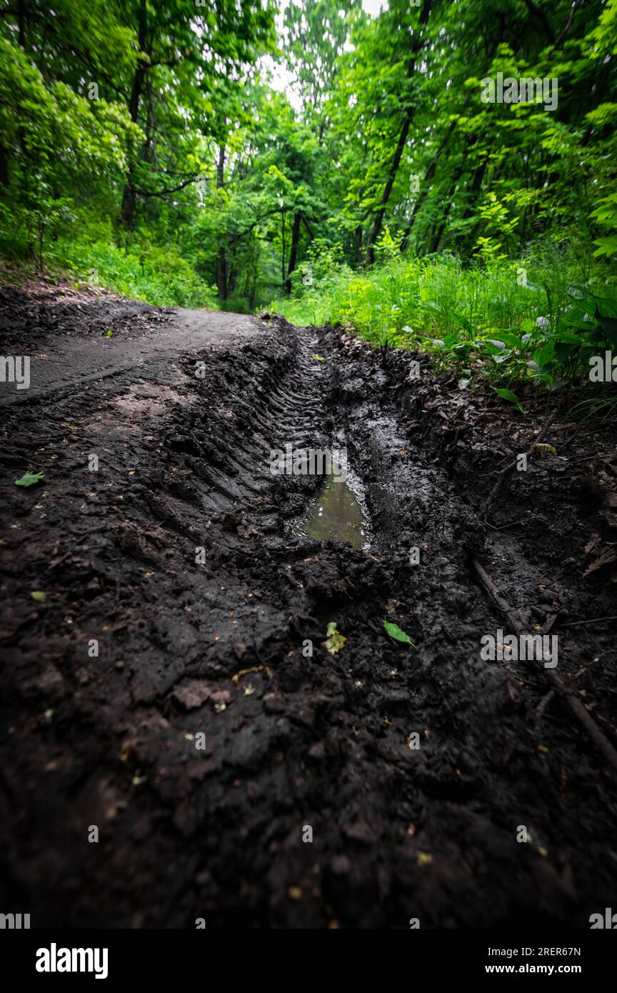 Geländeweg Schlamm auf schmutzigen Straßen im grünen Wald. Selektiver Fokus Stockfoto