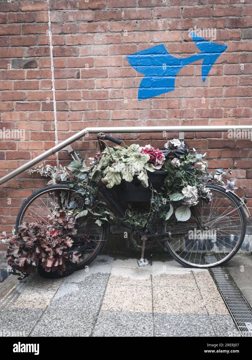 Blauer Pfeil, der auf eine Treppe zeigt, mit einem Fahrrad bedeckt mit Blumen Stockfoto