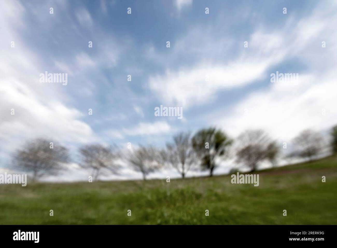 Landschaftlich grünes Grasfeld mit unscharfen Bäumen Hintergrund und blauem Himmel mit Wolken in Bewegung, Design eines windigen Sommertags Stockfoto