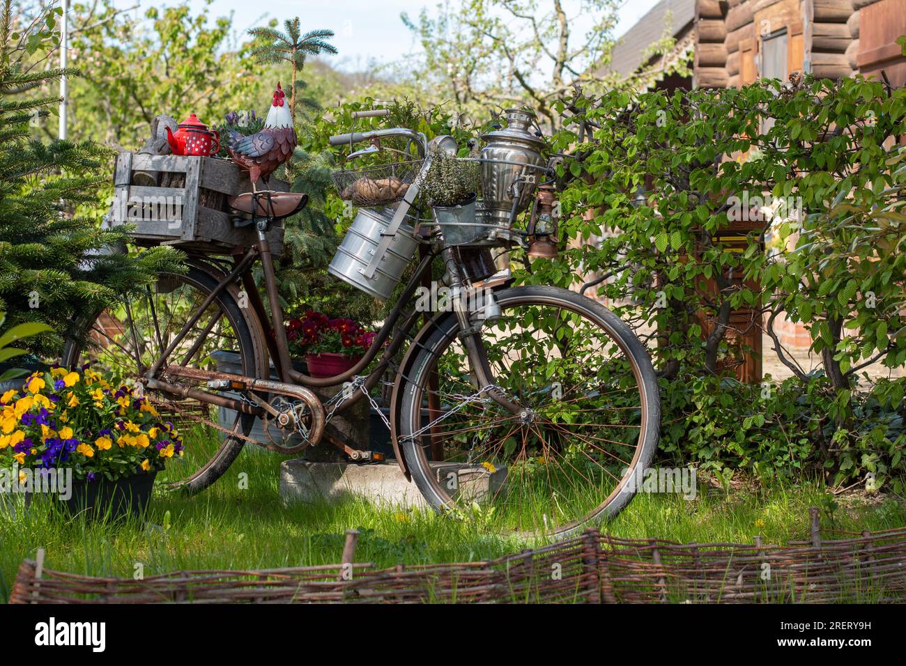 Altes rostiges Fahrrad, das als schöne Dekoration mit bunten Blumen und Ornamenten im Garten mit Bäumen verwendet wurde Stockfoto