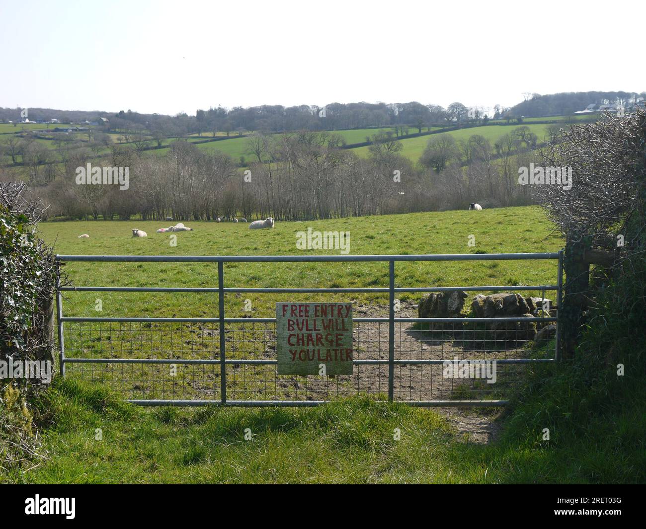 Cornwall, Großbritannien, Frühjahr 2022: „Free Entry Bull will Charge You later“ - lustiges Schild auf einem Bauernhof in Weideland Stockfoto