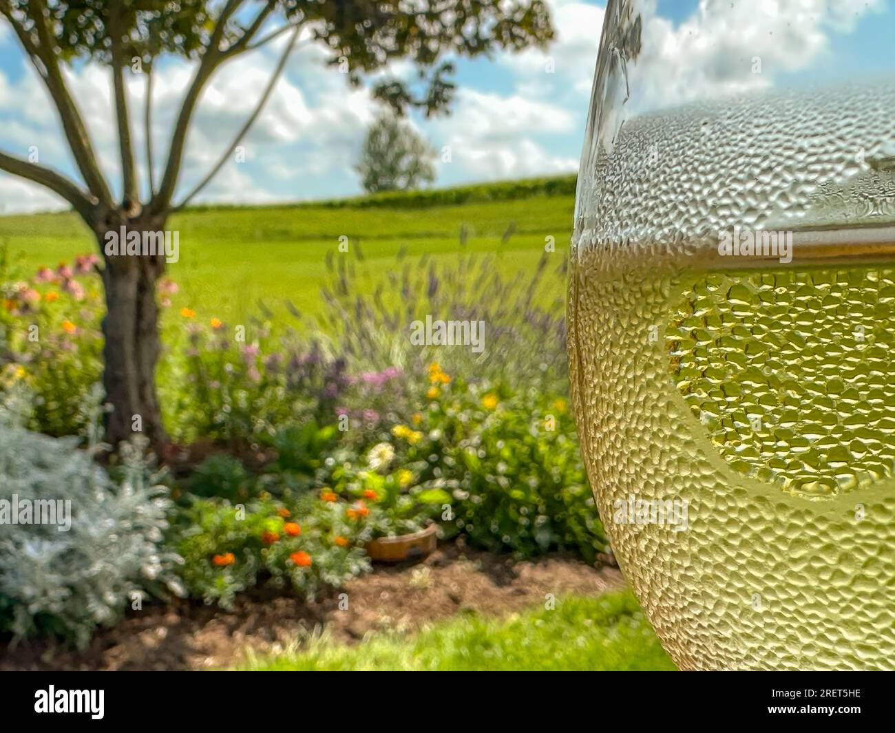 Nahaufnahme eines Weinglases mit Kondensation im Freien. Stockfoto