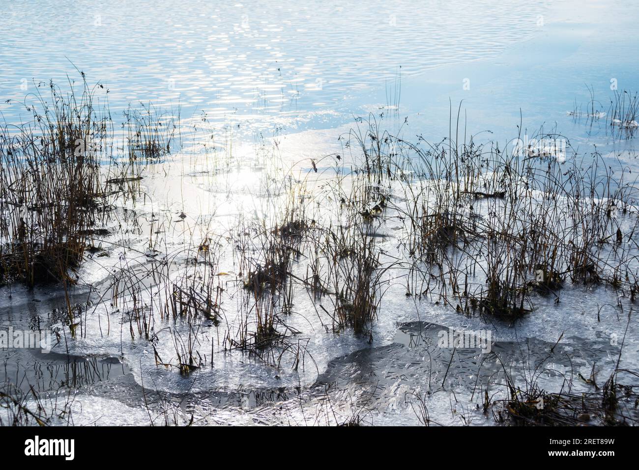 Frische Eisoberfläche auf einem See im Burgenland Stockfoto