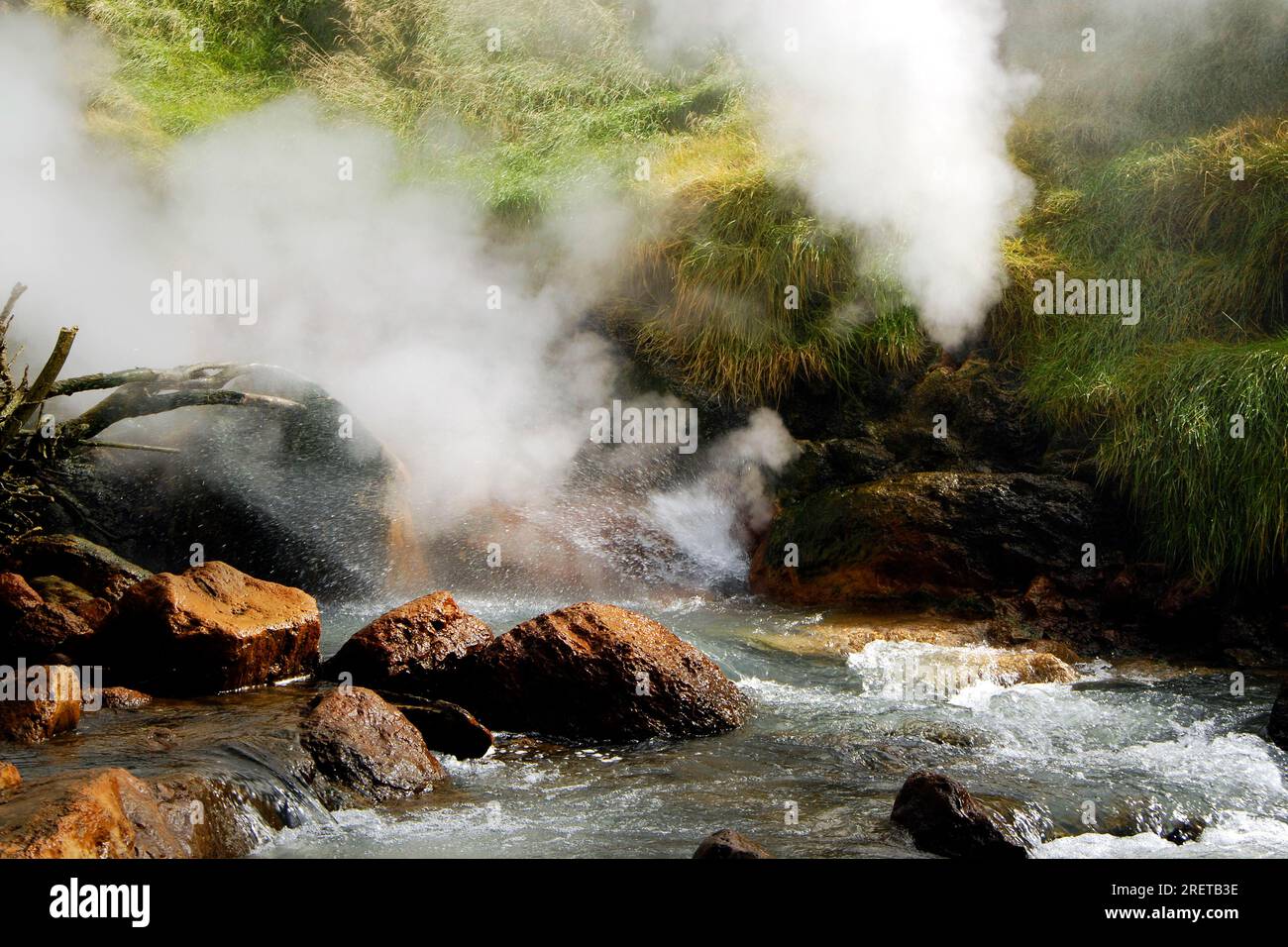 Tal der Geysire, Kronotsky-Nationalpark, Kamtschatka-Halbinsel, Kamtschatka, Russland Stockfoto