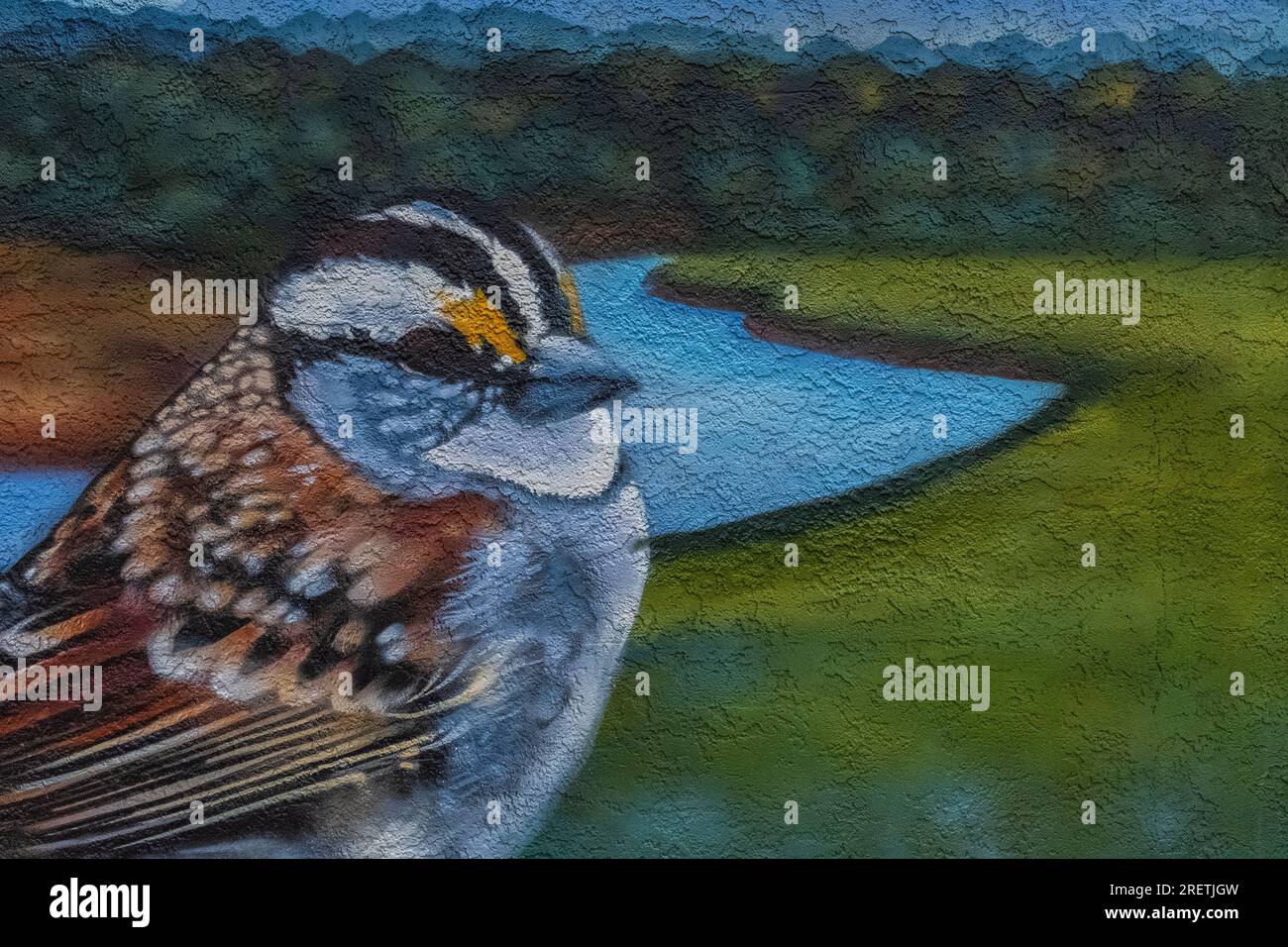 Street Art in Albuquerque, New Mexico Stockfoto