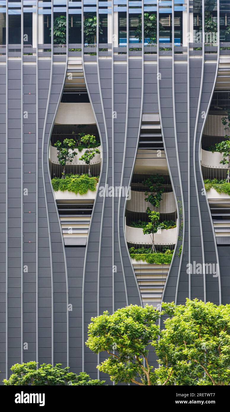 Details der vertikalen Gärten im umweltfreundlichen grünen Gebäude CapitaSpring, Singapur Stockfoto