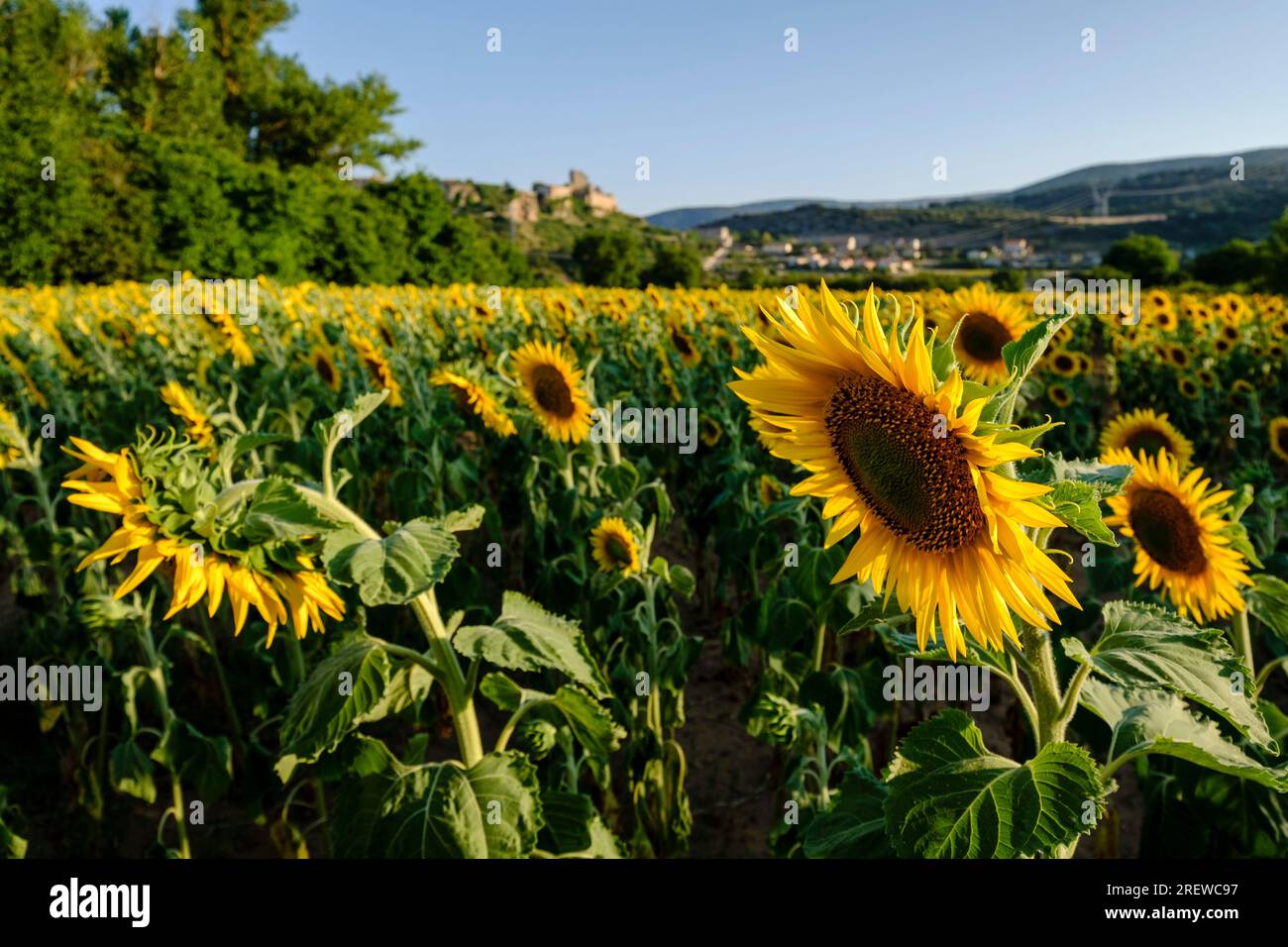 Frías, Autonome Gemeinschaft Kastilien und León, Spanien Stockfoto