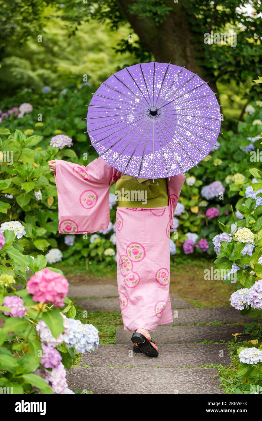 Rückansicht einer Frau, die einen japanischen Bademantel Yukata trägt und einen traditionellen japanischen Ölpapierschirm hält. Stockfoto