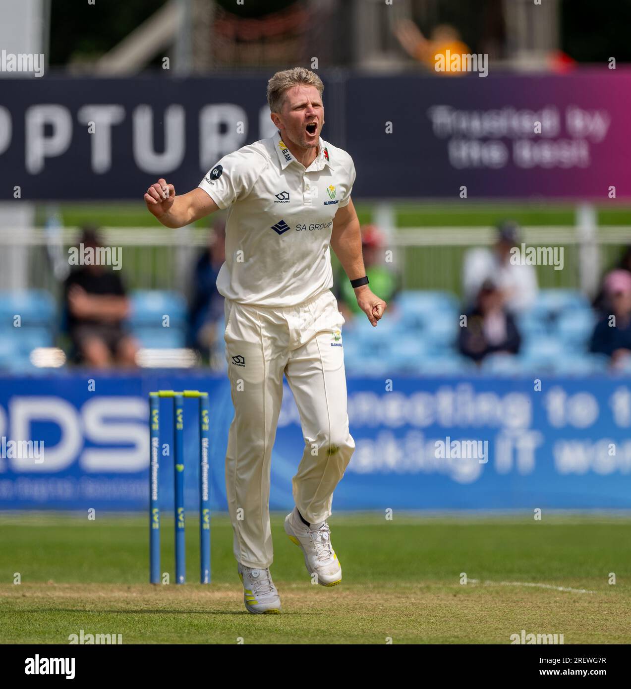 Timm van der Gugten von Glamorgan reagiert auf sein Bowling in einem County Championship Match zwischen Derbyshire und Glamorgan Stockfoto