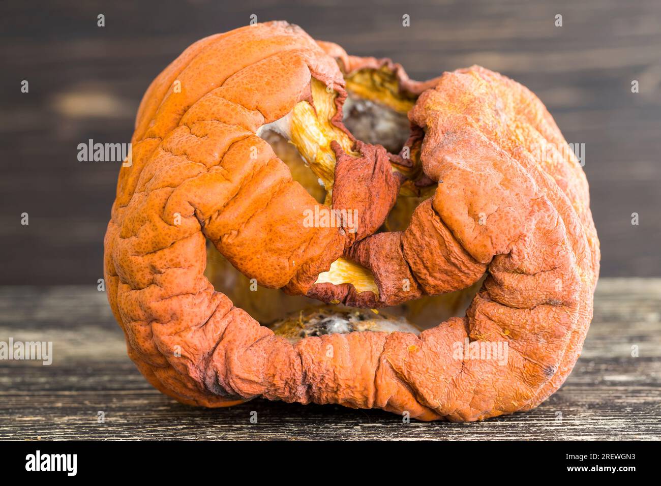 Kürbis in gefährlichem Schimmel, reifer Orangenkürbis mit Schimmel und Schimmel bedeckt, reifes Gemüse, das durch lange oder unsachgemäße Lagerung verdorben wurde Stockfoto