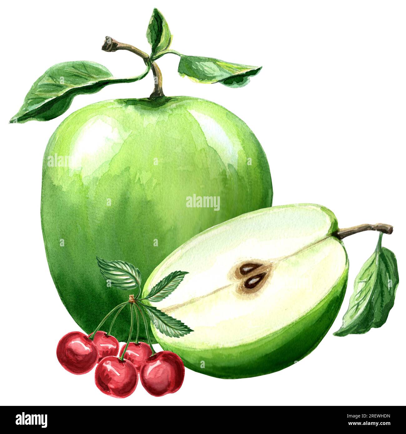 Aquarell-Illustration von grünem Apfel und Kirsche. Handgezeichnete Aquarellillustration JPEG für Design, Stoffe, Geschenkpapier, Tapeten, Cover Stockfoto