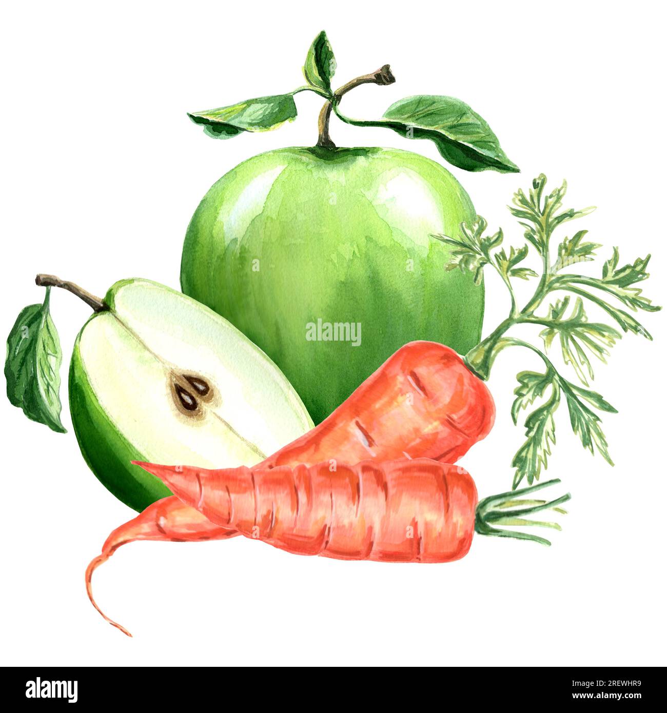 Aquarelldarstellung von grünem Apfel und Karotte. Handgezeichnete Aquarellillustration JPEG für Design, Stoffe, Geschenkpapier, Tapeten, Cover Stockfoto