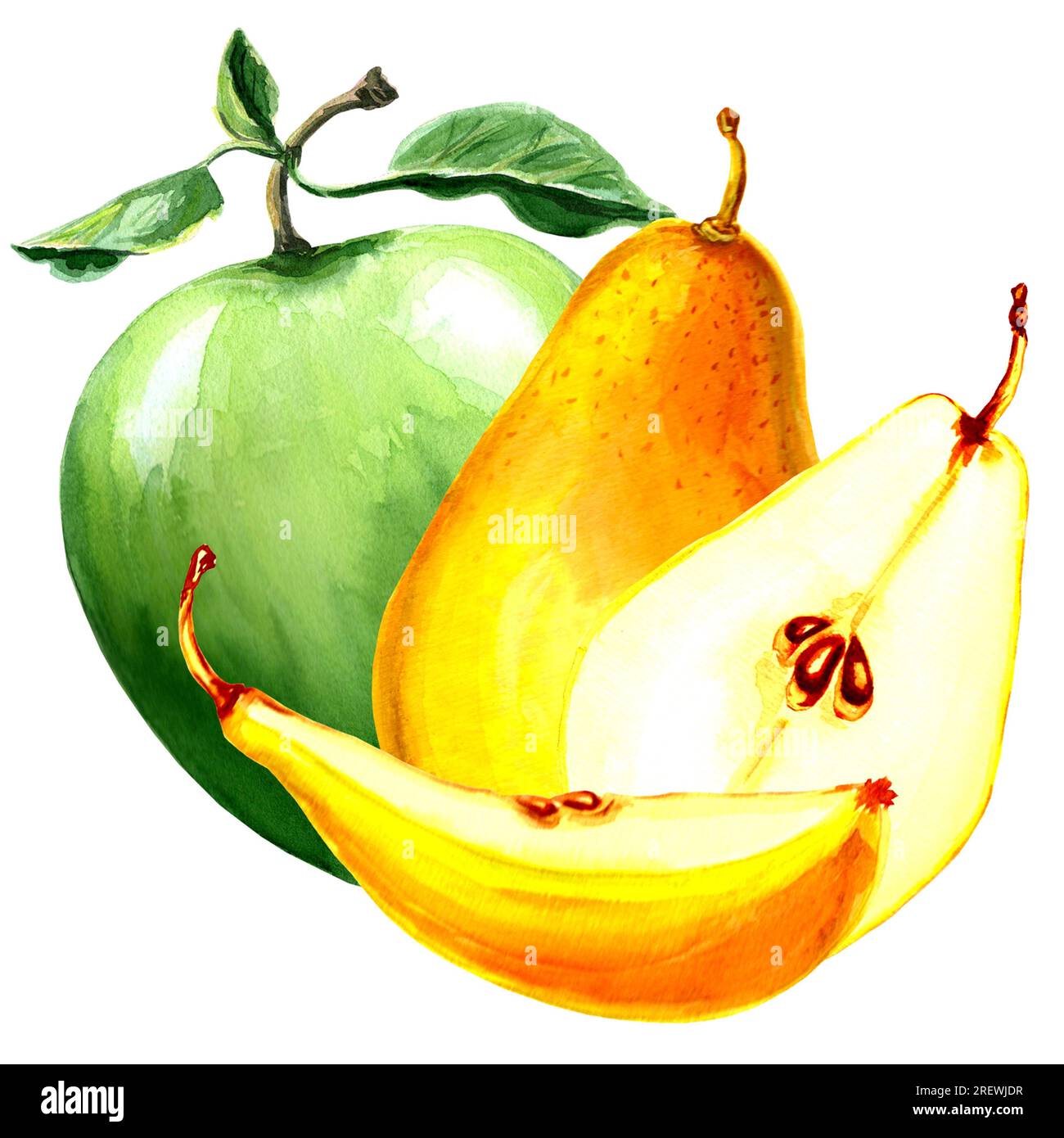 Aquarell Darstellung von gelber Birne und grünem Apfel. Handgezeichnete Aquarell-JPEG-Grafik für Design, Stoffe, Geschenkpapier, Tapeten, Deckblätter Stockfoto