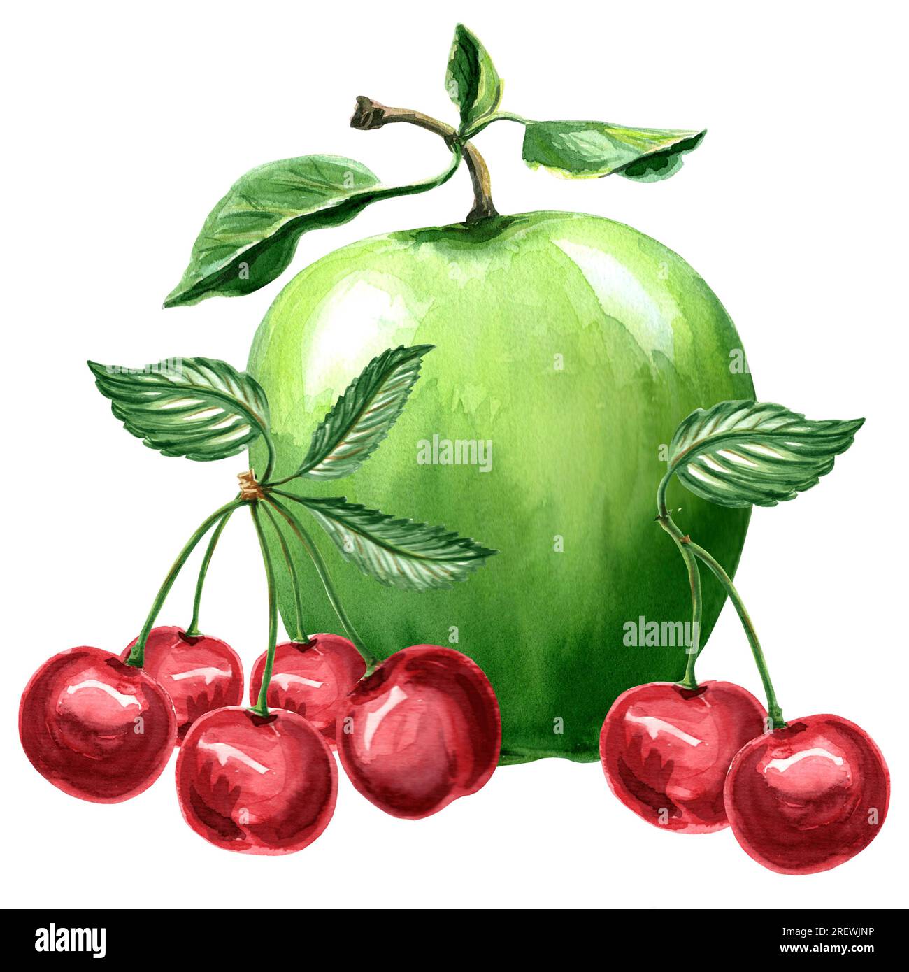 Aquarell-Illustration von grünem Apfel und Kirsche. Handgezeichnete Aquarellillustration JPEG für Design, Stoffe, Geschenkpapier, Tapeten, Cover, Stockfoto