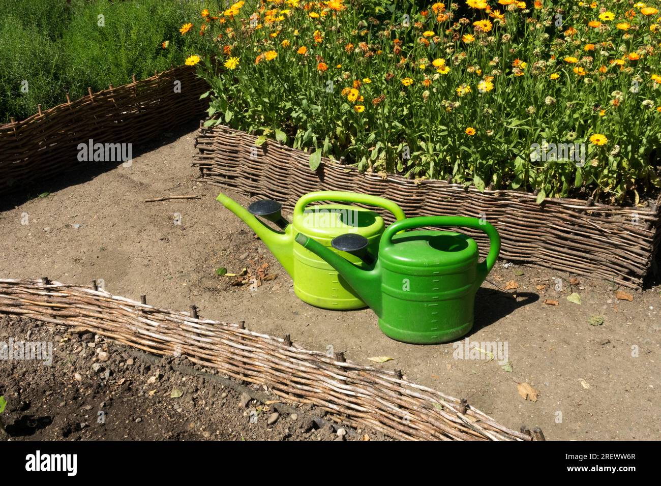 Plastik, Bewässerung, Dosen im Kräutergarten, Wicker, Weide, Hochbeet Calendula Stockfoto