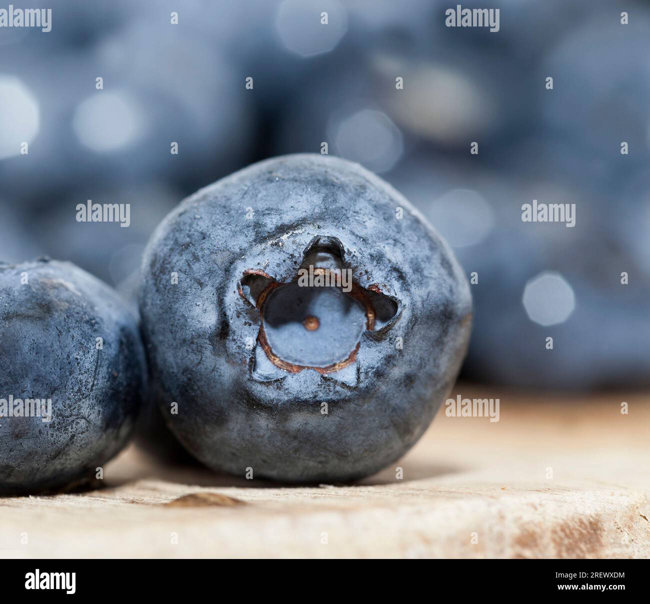 Frische Blaubeeren können gegessen werden rohe, frische, reife und vitaminreiche Blaubeeren, frisch geerntete und leckere Blaubeeren Stockfoto