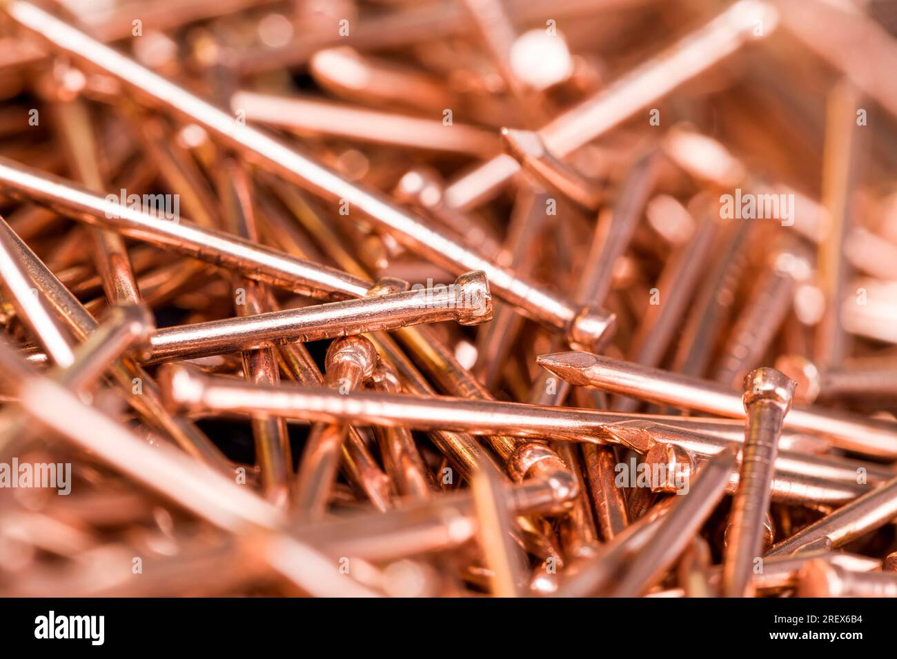 Kupferbeschichtete Metallnägel für dekorative Schönheit, die als Befestigungsmittel im Zimmereibereich verwendet werden, sind mit einer Zusammensetzung überzogen Stockfoto