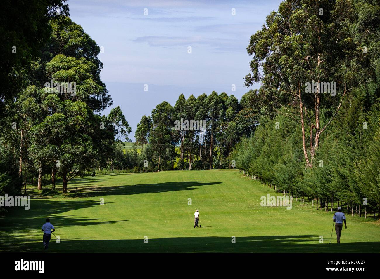 Kericho Golf Course Club Nairobi Road Londiani Kipkelion East Kenia Landschaften Feldpflanzen Vegetation Grasland Green Sports Club Reisen Safaris Stockfoto