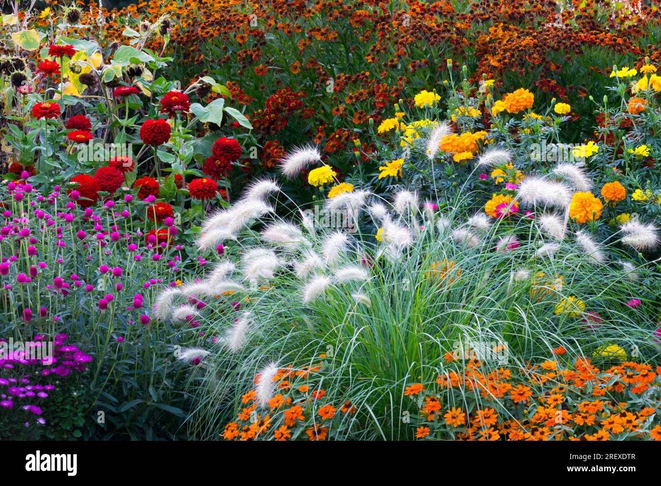 Sommer Gartenblumen Bunte Pflanzen Gartenblumen Mix schöne Blumengrenze Blumengarten blühende bunte Blumen Blumenbeet Rand Rich üppig Stockfoto