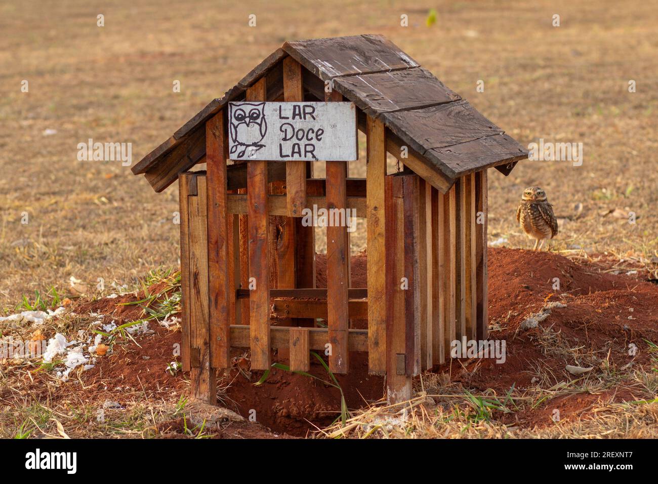 Goiania, Goias, Brasilien – 29. Juli 2023: Ein kleines Haus aus Holz mit einem Schild mit der Aufschrift „Heim süß“ und einer kleinen Eule im Hintergrund. Stockfoto