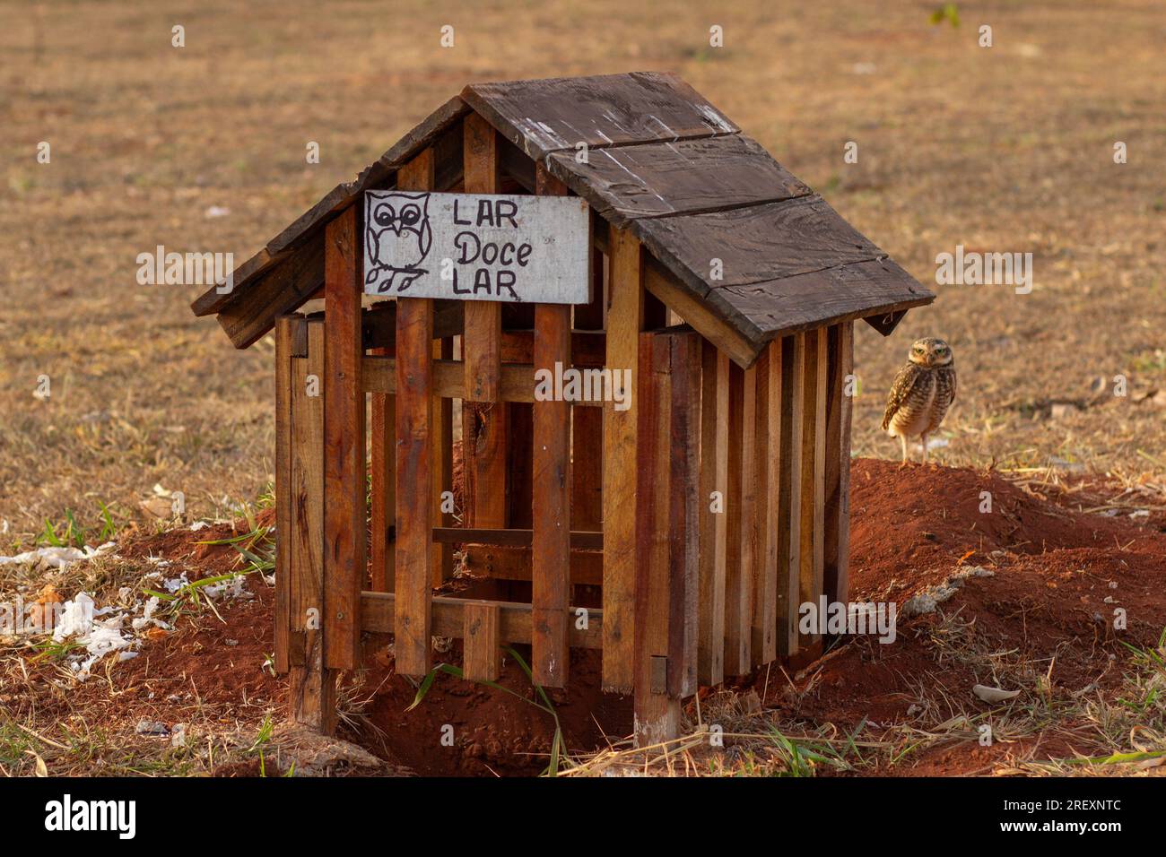 Goiania, Goias, Brasilien – 29. Juli 2023: Ein kleines Haus aus Holz mit einem Schild mit der Aufschrift „Heim süß“ und einer kleinen Eule im Hintergrund. Stockfoto